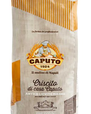 Criscito