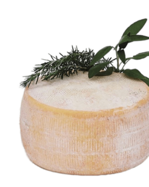 Sheep Cheese - Pecorino Del Alta Murgia Caseificio Coratino 2.3kg Approx