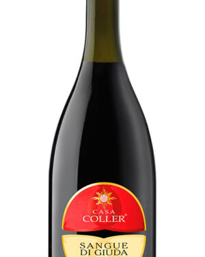 Casa Coller